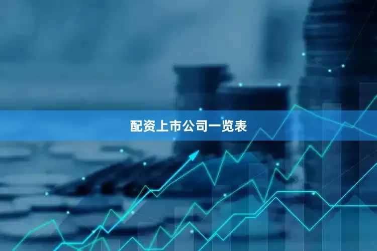 配资上市公司一览表