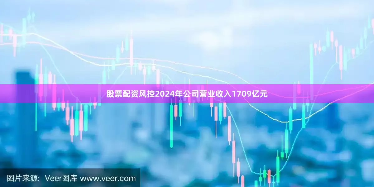 股票配资风控2024年公司营业收入1709亿元
