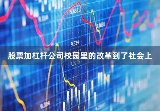 股票加杠杆公司校园里的改革到了社会上