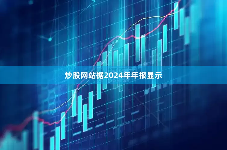 炒股网站据2024年年报显示