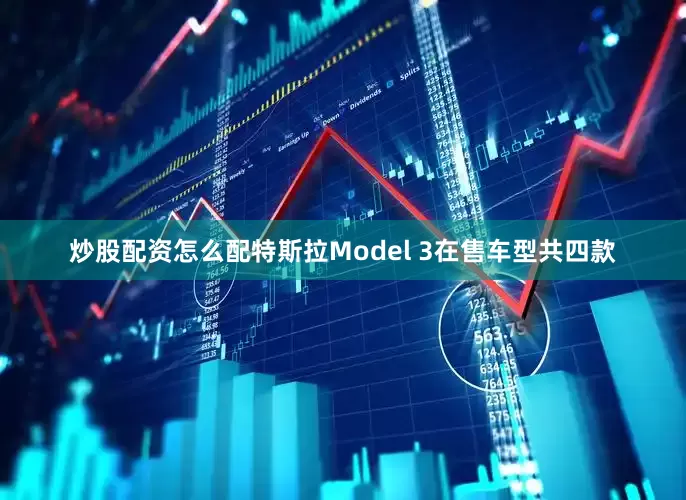 炒股配资怎么配特斯拉Model 3在售车型共四款